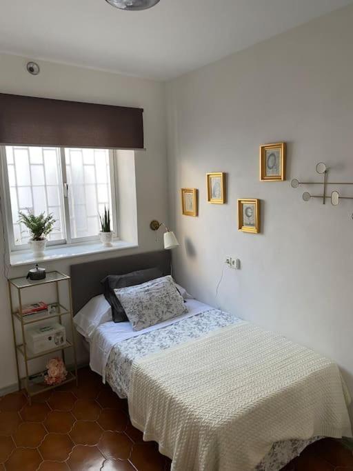 Apartment Gran Casa Senorial De 300m En Centro Historico